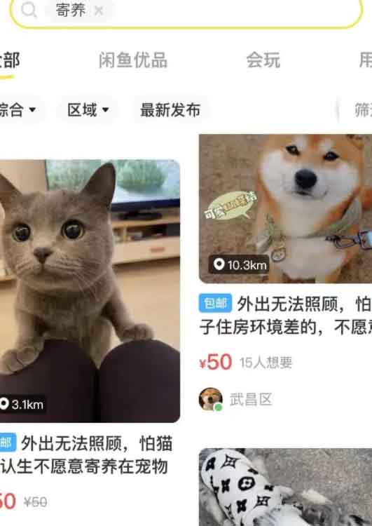 限时下载交友小程序h5棋牌源码之家